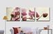 Комплектация Картина по номерам Триптих. Розовые орхидеи (MS14067) Babylon от интернет-магазина товаров для творчества Sylarozumu.com.ua