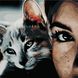 Комплектация Картина по номерам Глаза кошки (AS0505) ArtStory (Без коробки) от интернет-магазина товаров для творчества Sylarozumu.com.ua