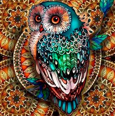 Фото Картина из страз Яркая сова ТМ Алмазная мозаика (DMF-346, ) от интернет-магазина рукоделия Sylarozumu.com.ua