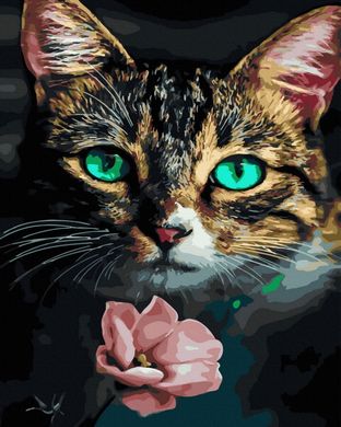 Фото Картина за номерами Кіт із квіткою (ATG00065) (Без коробки) від інтернет-магазину картин-розмальовок Sylarozumu.com.ua