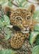 Комплектація Мозаїка алмазна Дитинча леопарда (23 х 32 см) Dream Art (DA-31614) від інтернет-магазину наборів для рукоділля Sylarozumu.com.ua