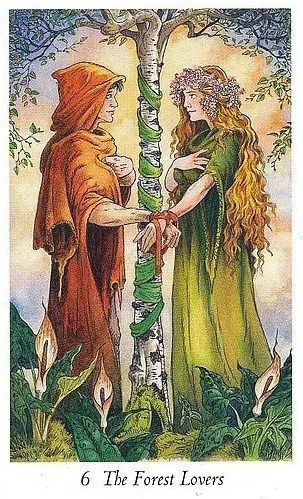 Фото Карти Таро Дикого Лісу (The Wildwood Tarot) &mdash; набор: книга + колода карт колоди карт від інтернет-магазину Sylarozumu.com.ua