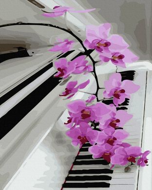 Фото Раскраска по номерам Орхидея на фортепиано (BK-GX40126) (Без коробки) от интернет-магазина картин-раскрасок Sylarozumu.com.ua