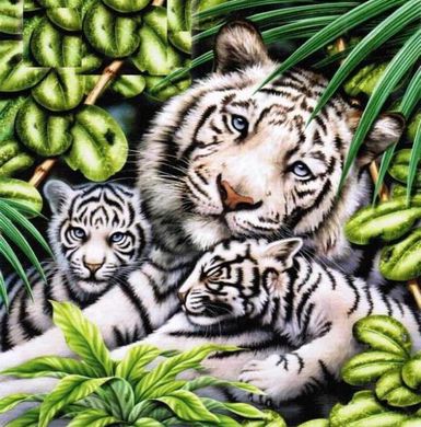 Фото Картина з страз Біла тигриця з тигрятами ТМ Алмазна мозаіка (DMF-283) від інтернет-магазину рукоділля Sylarozumu.com.ua