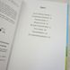 Дракончик Кокос і Чорний лицар книга і фото сторінок від інтернет-магазину Sylarozumu.com.ua