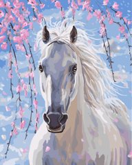 Фото Картина по номерам Лошадь в цветах сакуры (BRM8528) от интернет-магазина картин-раскрасок Sylarozumu.com.ua