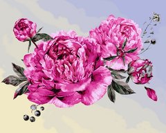 Фото Картина за номерами Улюблені квіти (VP1407) Babylon від інтернет-магазину картин-розмальовок Sylarozumu.com.ua