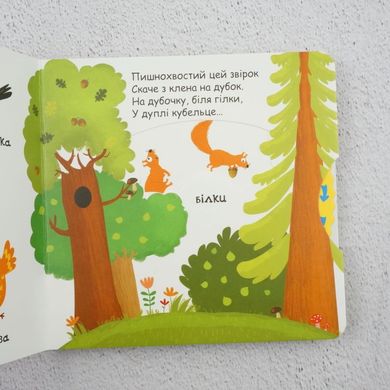 Животные в лесу книга в магазине Sylarozumu.com.ua