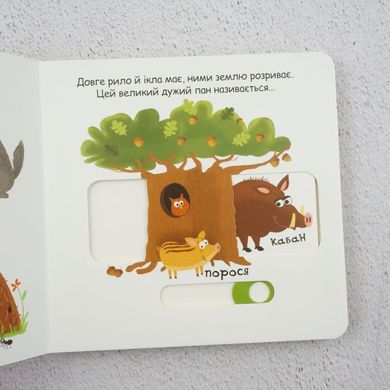 Тварини в лісі книга в інтернет-магазині Sylarozumu.com.ua