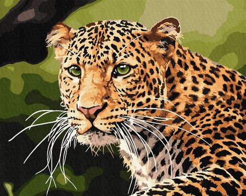 Фото Картина за номерами Зеленоокий леопард (KH4322) Идейка від інтернет-магазину картин-розмальовок Sylarozumu.com.ua