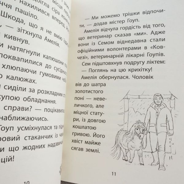 Одинокий пони. Истории спасения 8 книга в магазине Sylarozumu.com.ua