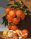 Комплектация Картина по номерам Апельсины и лимоны (KH5651) Идейка от интернет-магазина товаров для творчества Sylarozumu.com.ua