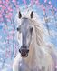 Комплектация Картина по номерам Лошадь в цветах сакуры (BRM8528) от интернет-магазина товаров для творчества Sylarozumu.com.ua