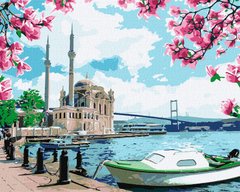 Фото Картина по номерам Яркий Стамбул (KH2757) Идейка от интернет-магазина картин-раскрасок Sylarozumu.com.ua