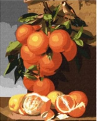 Фото Мозаика алмазная Натюрморт с апельсинами в пейзаже худ. Antonio Mensaque Диамантовые ручки (GU_189711, На подрамнике) от интернет-магазина рукоделия Sylarozumu.com.ua