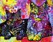 Комплектація Картина за номерами Квіткові коти (VP1437) Babylon від інтернет-магазину товарів для творчості Sylarozumu.com.ua