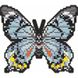 Комплектація Алмазна вишивка Голубий метелик Арт Соло (БАТ28) від інтернет-магазину наборів для рукоділля Sylarozumu.com.ua