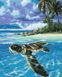 Комплектація Картина за номерами Тропічна черепаха (BSM-B51422) від інтернет-магазину товарів для творчості Sylarozumu.com.ua