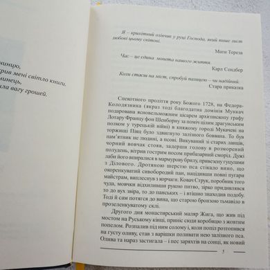 Криничар-Горянин книга в магазине Sylarozumu.com.ua