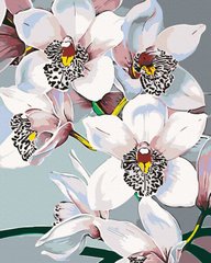 Фото Картини за номерами Вабливі орхідеї (BRM43805) від інтернет-магазину картин-розмальовок Sylarozumu.com.ua