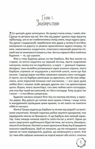 Книга Магічний шлях. Барбуль купити в інтернет-магазині Sylarozumu.com.ua