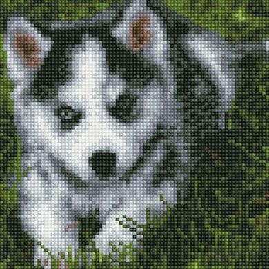 Фото Набор алмазная вышивка Собачка ColorArt (CLR-PDD1223, На подрамнике) от интернет-магазина рукоделия Sylarozumu.com.ua