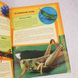 Дитяча ілюстрована енциклопедія Комахи та павуки книга і фото сторінок від інтернет-магазину Sylarozumu.com.ua