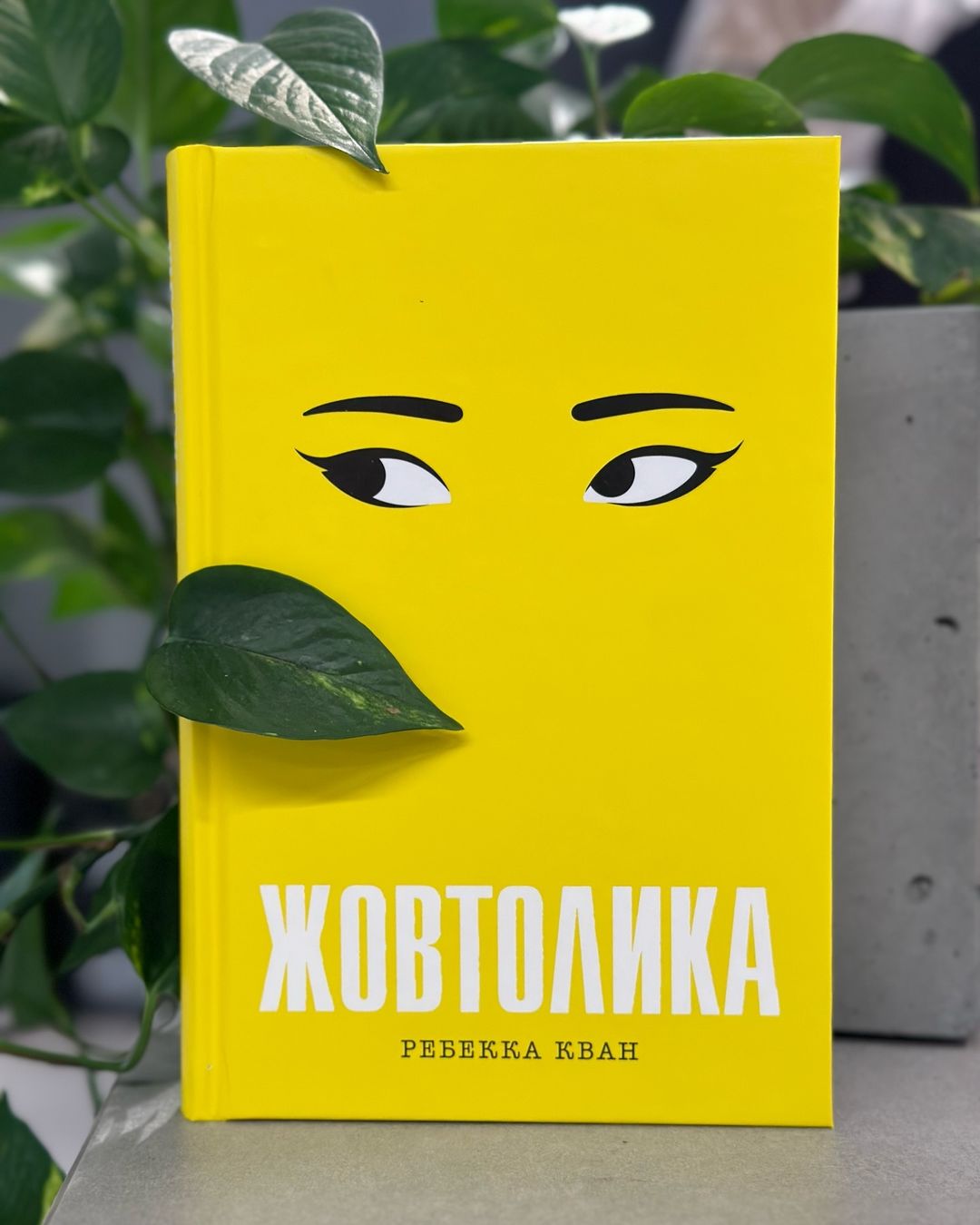 Жовтолика книга